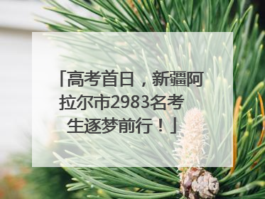 高考首日，新疆阿拉尔市2983名考生逐梦前行！