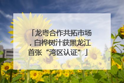 龙粤合作共拓市场，白桦树汁获黑龙江首张“湾区认证”