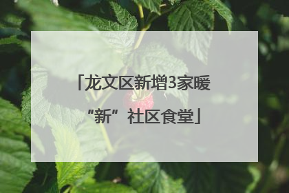 龙文区新增3家暖“新”社区食堂