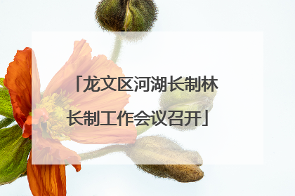 龙文区河湖长制林长制工作会议召开