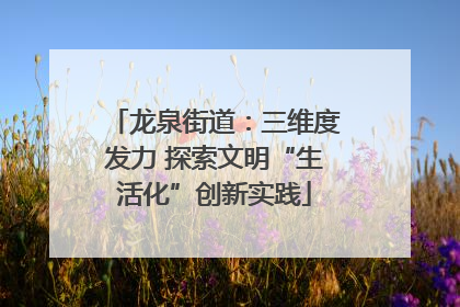 龙泉街道：三维度发力 探索文明“生活化”创新实践
