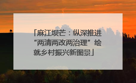 麻江坝芒：纵深推进“两清两改两治理”绘就乡村振兴新图景