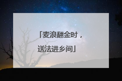 麦浪翻金时，送法进乡间