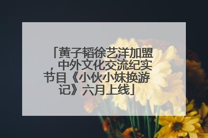 黄子韬徐艺洋加盟，中外文化交流纪实节目《小伙小妹换游记》六月上线