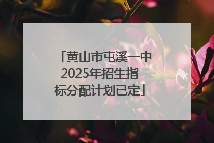 黄山市屯溪一中2025年招生指标分配计划已定