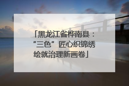 黑龙江省桦南县：“三色”匠心织锦绣 绘就治理新画卷