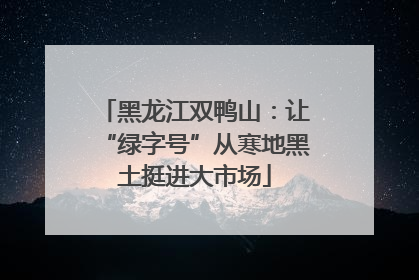 黑龙江双鸭山：让“绿字号”从寒地黑土挺进大市场