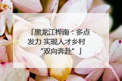 黑龙江桦南：多点发力 实现人才乡村“双向奔赴”