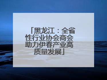 黑龙江：全省性行业协会商会助力伊春产业高质量发展
