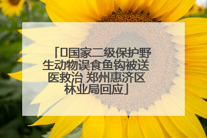 ﻿国家二级保护野生动物误食鱼钩被送医救治 郑州惠济区林业局回应