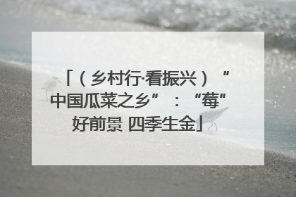 （乡村行·看振兴）“中国瓜菜之乡”：“莓”好前景 四季生金