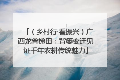 （乡村行·看振兴）广西龙脊梯田：背篓变迁见证千年农耕传统魅力