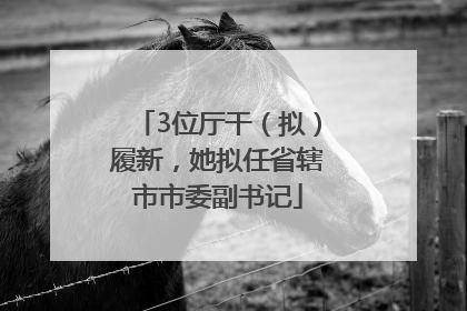 3位厅干（拟）履新，她拟任省辖市市委副书记