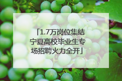 1.7万岗位集结 宁夏高校毕业生专场招聘火力全开