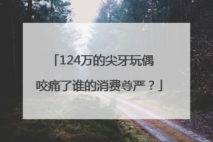 124万的尖牙玩偶 咬痛了谁的消费尊严？
