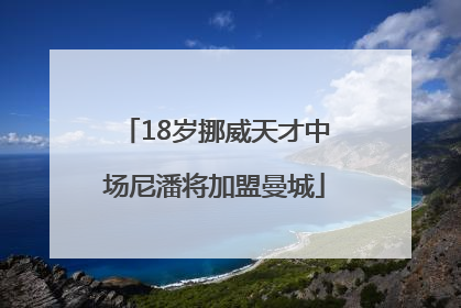 18岁挪威天才中场尼潘将加盟曼城