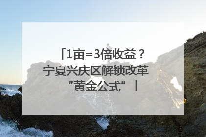 1亩=3倍收益？宁夏兴庆区解锁改革“黄金公式”