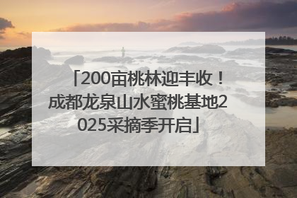 200亩桃林迎丰收！成都龙泉山水蜜桃基地2025采摘季开启