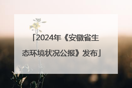 2024年《安徽省生态环境状况公报》发布