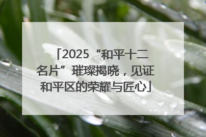 2025“和平十二名片”璀璨揭晓，见证和平区的荣耀与匠心