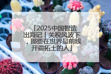 2025中国智造出海记丨关税风波下，那些在世界最前线开疆拓土的人