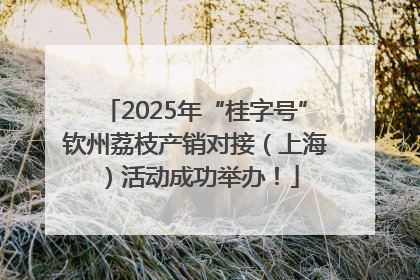 2025年“桂字号”钦州荔枝产销对接（上海）活动成功举办！