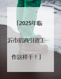 2025年临沂市招商引资工作这样干！