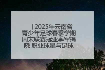 2025年云南省青少年足球春季学期周末联赛冠亚季军揭晓 职业球星与足球小将共享荣耀时刻
