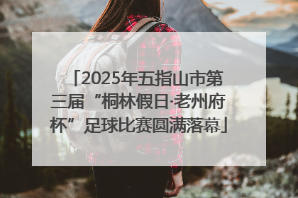 2025年五指山市第三届“桐林假日·老州府杯”足球比赛圆满落幕