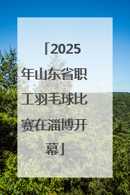 2025年山东省职工羽毛球比赛在淄博开幕