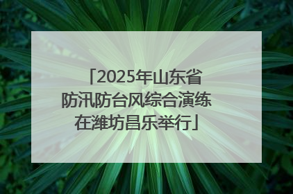 2025年山东省防汛防台风综合演练在潍坊昌乐举行