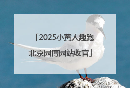 2025小黄人趣跑北京园博园站收官