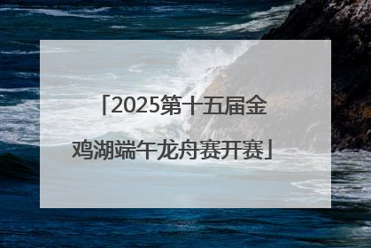 2025第十五届金鸡湖端午龙舟赛开赛