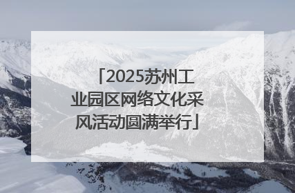 2025苏州工业园区网络文化采风活动圆满举行