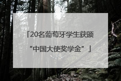 20名葡萄牙学生获颁“中国大使奖学金”