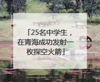 25名中学生，在青海成功发射一枚探空火箭