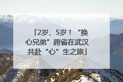 2岁、5岁！“换心兄弟”跨省在武汉共赴“心”生之旅