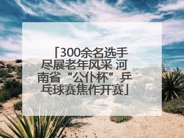 300余名选手尽展老年风采 河南省“公仆杯”乒乓球赛焦作开赛