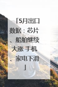 5月出口数据：芯片、船舶继续大涨 手机、家电下滑