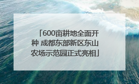 600亩耕地全面开种 成都东部新区东山农场示范园正式亮相