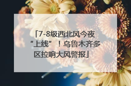 7-8级西北风今夜“上线”！乌鲁木齐多区拉响大风警报
