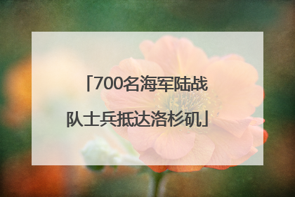 700名海军陆战队士兵抵达洛杉矶