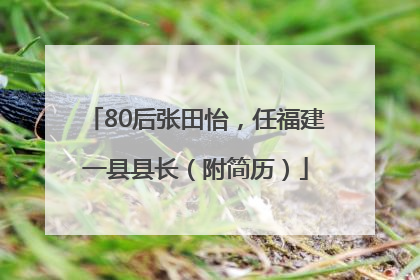 80后张田怡，任福建一县县长（附简历）