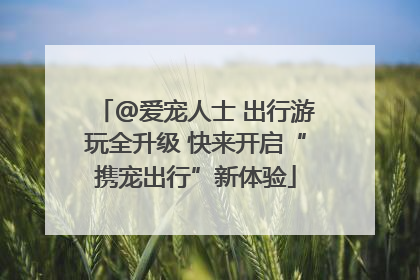 @爱宠人士 出行游玩全升级 快来开启“携宠出行”新体验