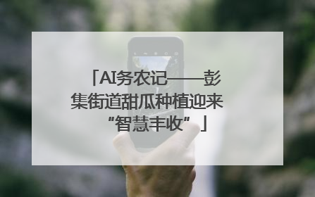 AI务农记——彭集街道甜瓜种植迎来“智慧丰收”