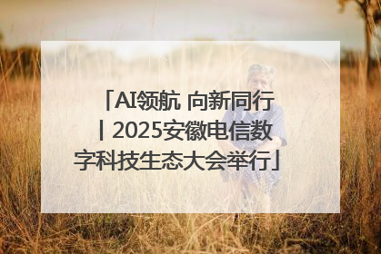 AI领航 向新同行丨2025安徽电信数字科技生态大会举行