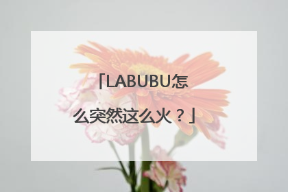 LABUBU怎么突然这么火？
