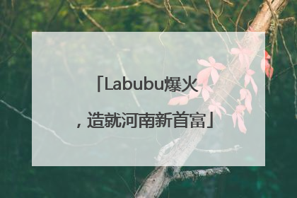 Labubu爆火，造就河南新首富