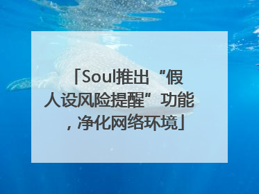 Soul推出“假人设风险提醒”功能，净化网络环境