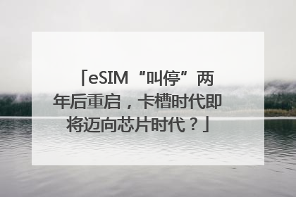 eSIM“叫停”两年后重启，卡槽时代即将迈向芯片时代？